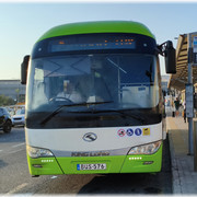 BUS 576