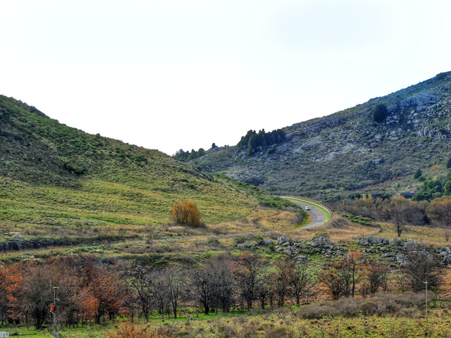 DSCN4950.jpg