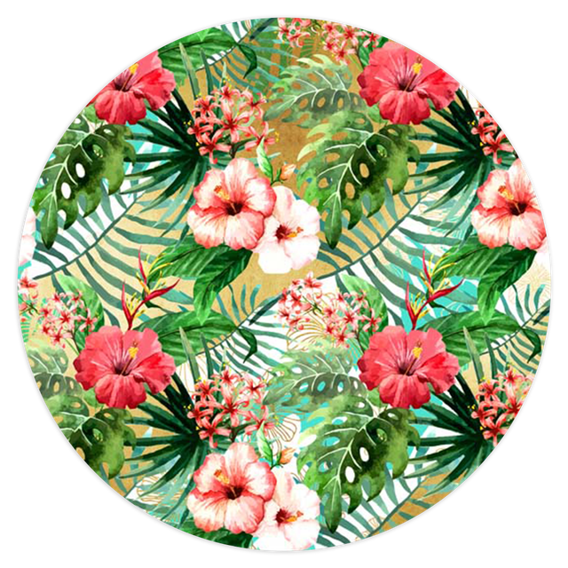 2102854-Tropical-Ana