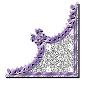 FREE-PASSION-VIOLETTES-CAJ1