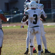 IMG-4667