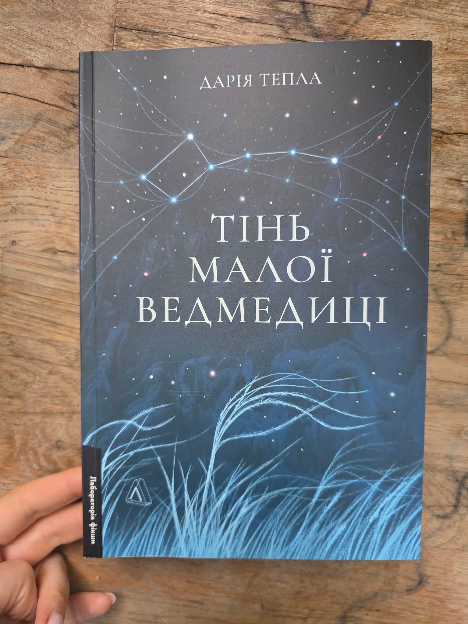 Тінь Малої Ведмедиці дарї Теплої презентували в Кропивницькому Книгарня Є Перша електрона газета (