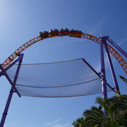 DSC09938