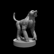 Baboon Updated