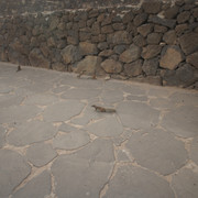 DSC00886