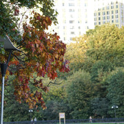 DSC00861