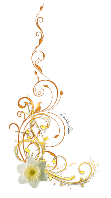6be63020d73f (1).png