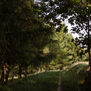 IMG-0242