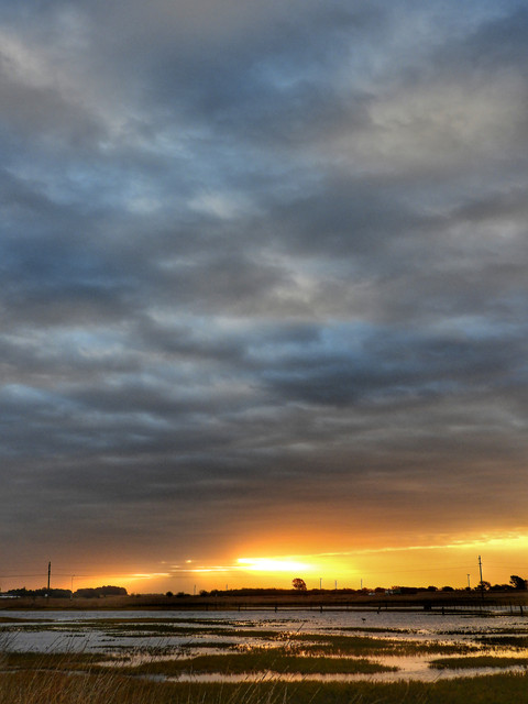 DSCN4819.jpg