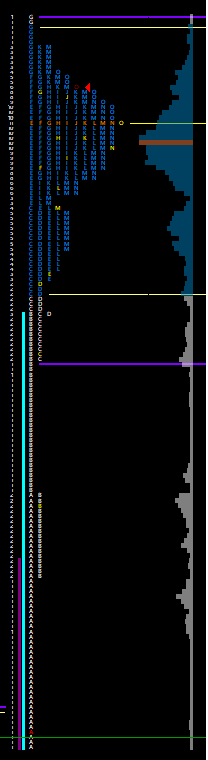 RTH05-04.png