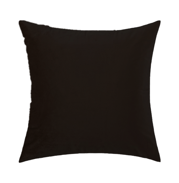 COJIN NEGRO PIEL.png