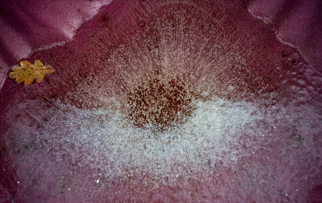 L1010665