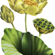 0eda70a58aaeda98292b2149fb8c28f1