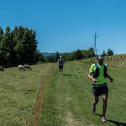 DSC-7349