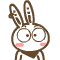 2.gif