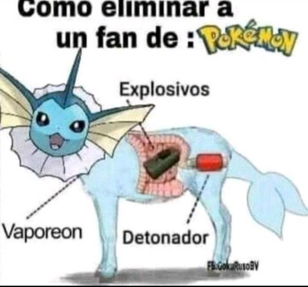 vap.jpg