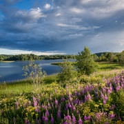 IMG-1463