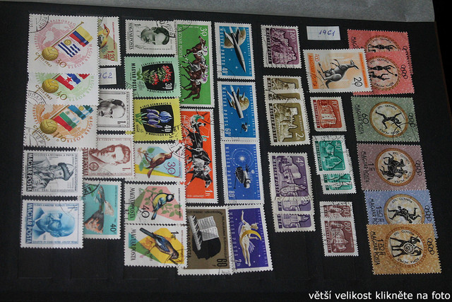 IMG-2622.jpg