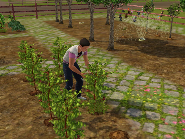 Screenshot-4