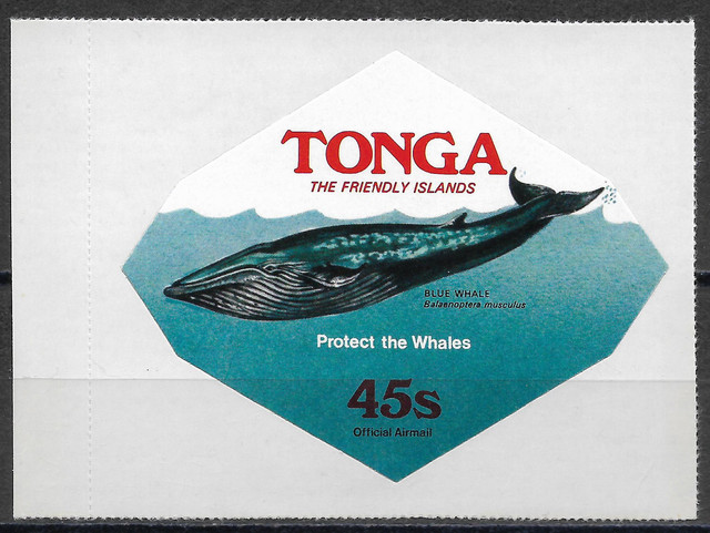 Tonga D162