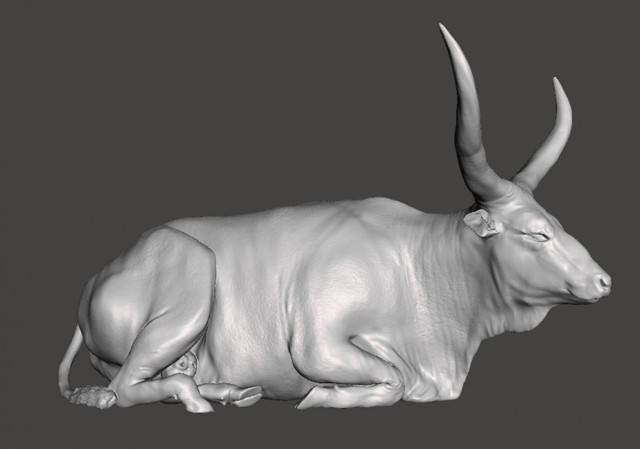 Ankolewatusi02