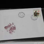 IMG-2603