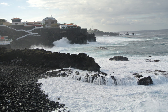 DSC-2882.jpg
