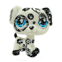 sparkles dalmatian