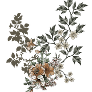 01-413