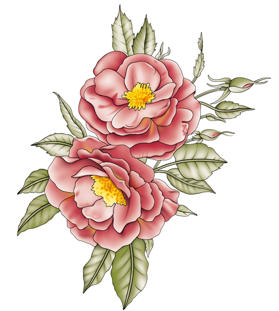 eaa012f6d1b01eb8f70c9f3003934771.png