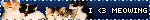 IMG 1269.gif