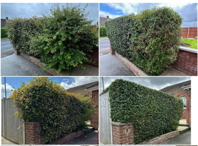 Rubbish Removal