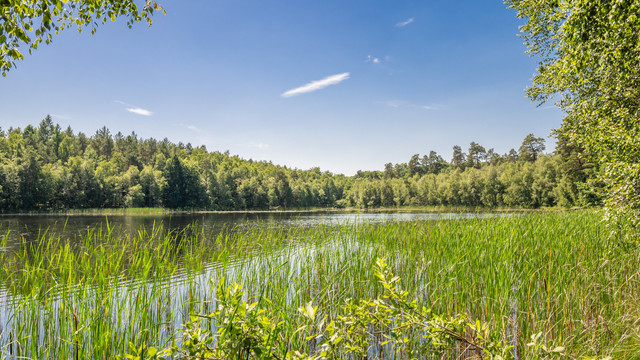 warmia d1 15.jpg