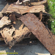 IMG-1059