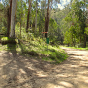 IMG 0031