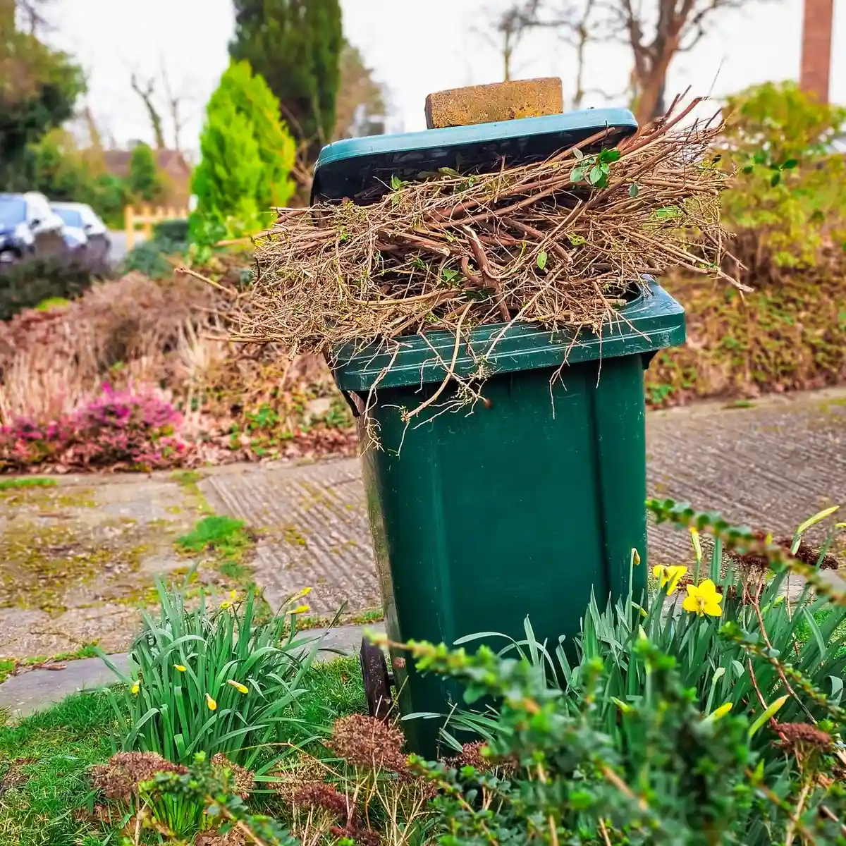 Deșeuri de grădină: 5 soluții gratuite și ecologice