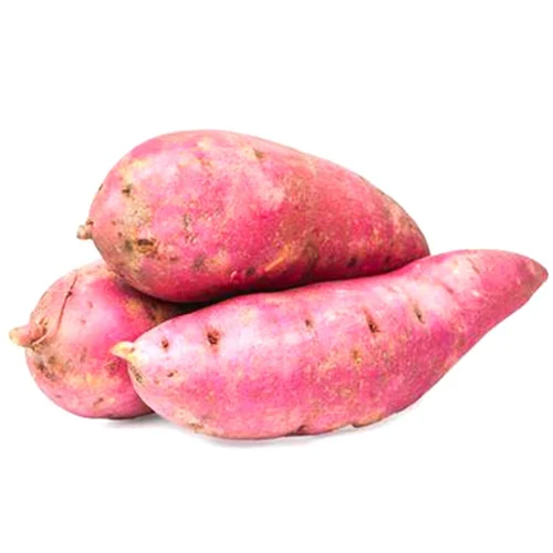 Sweet Potato