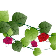 Flower leafe 8