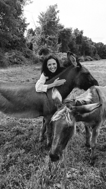 kh donkeyfarm080226