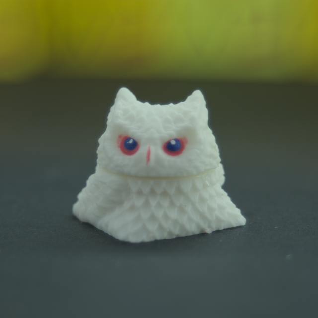 DSC-0013.png