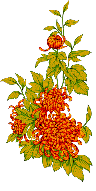 eb2824b4024c2145152706eadda3c986.png