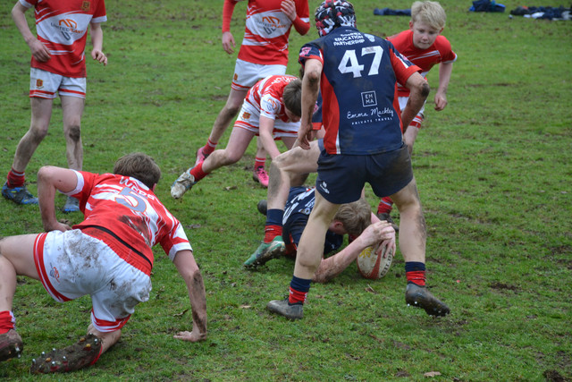 DSC 1463.jpg