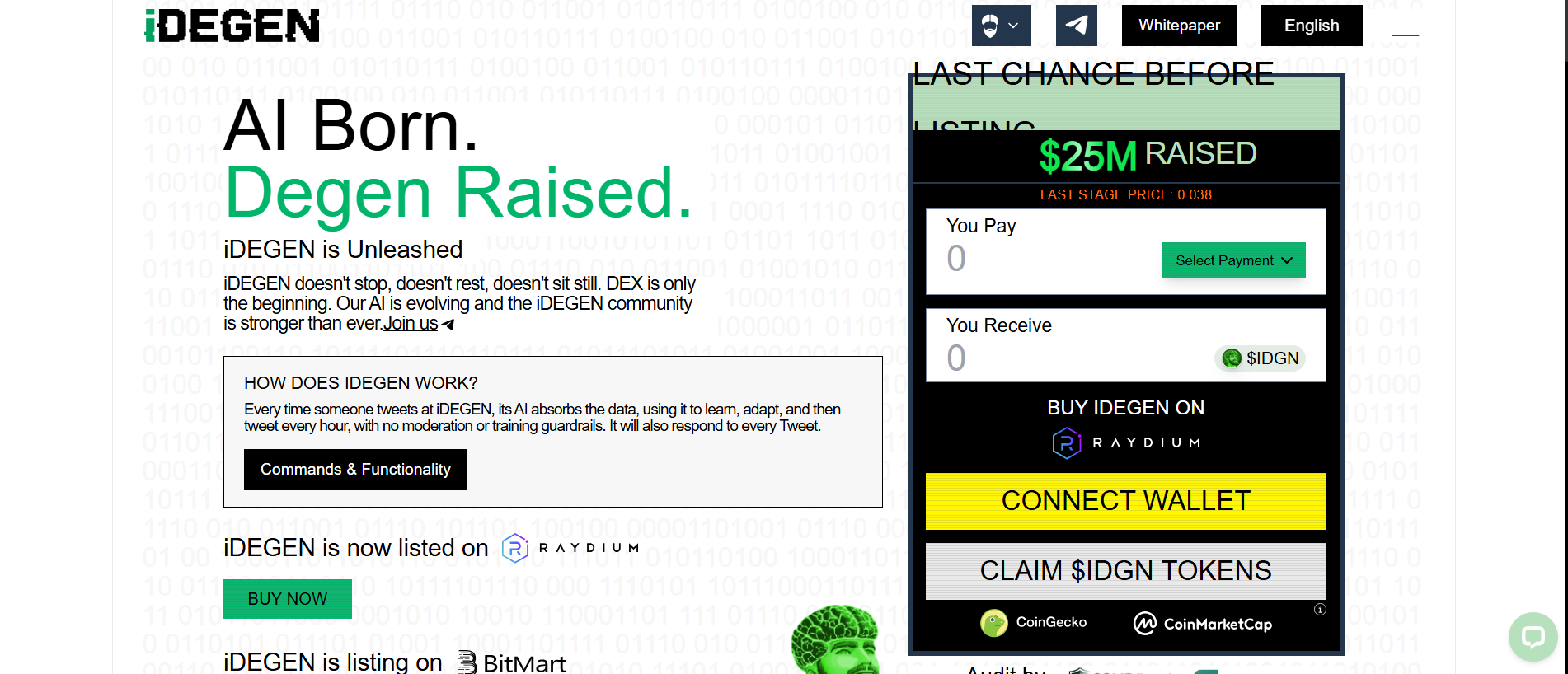 Forensic screenshot of idgn.pages.dev showing the phishing page layout