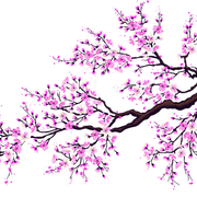 shutterstock 246883228 1 Copy
