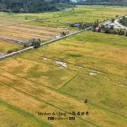 Sawah Air Papan2