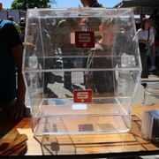 IMG 2791