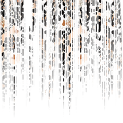 01 (2)