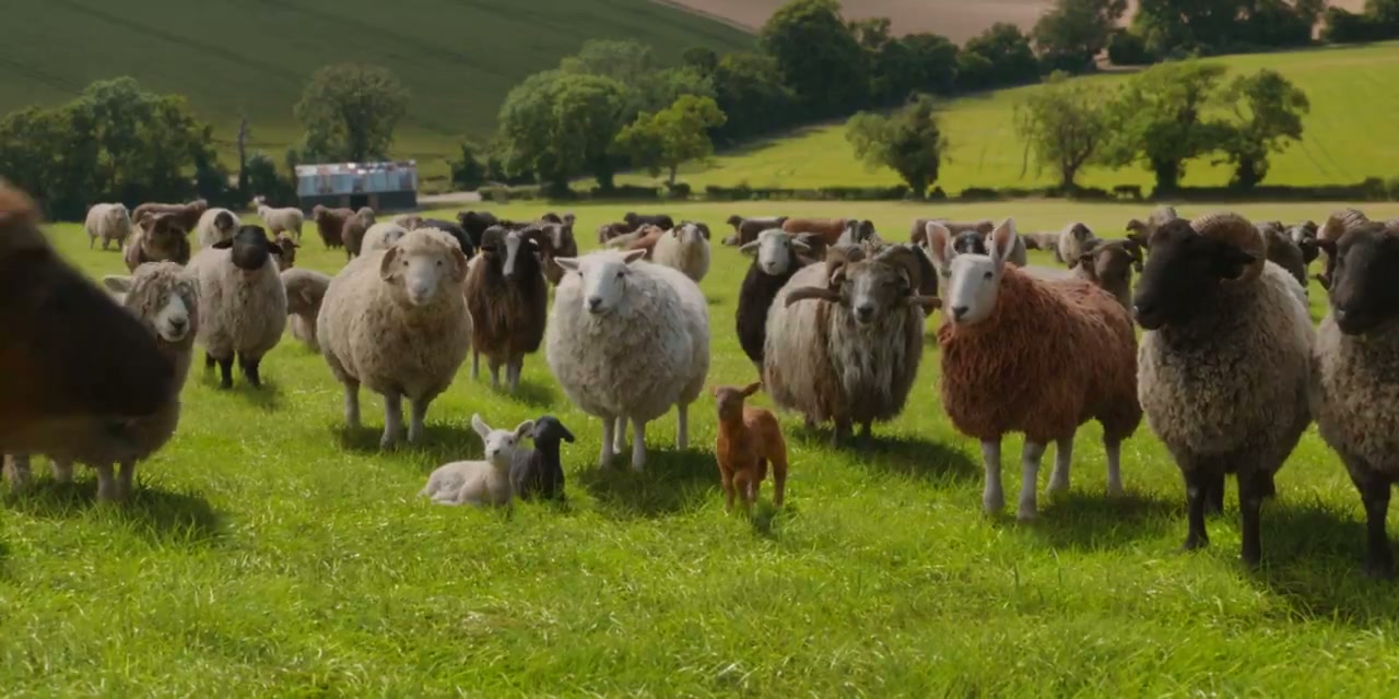 The Sheep Detectives Screenshot