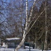 DSC0124 2
