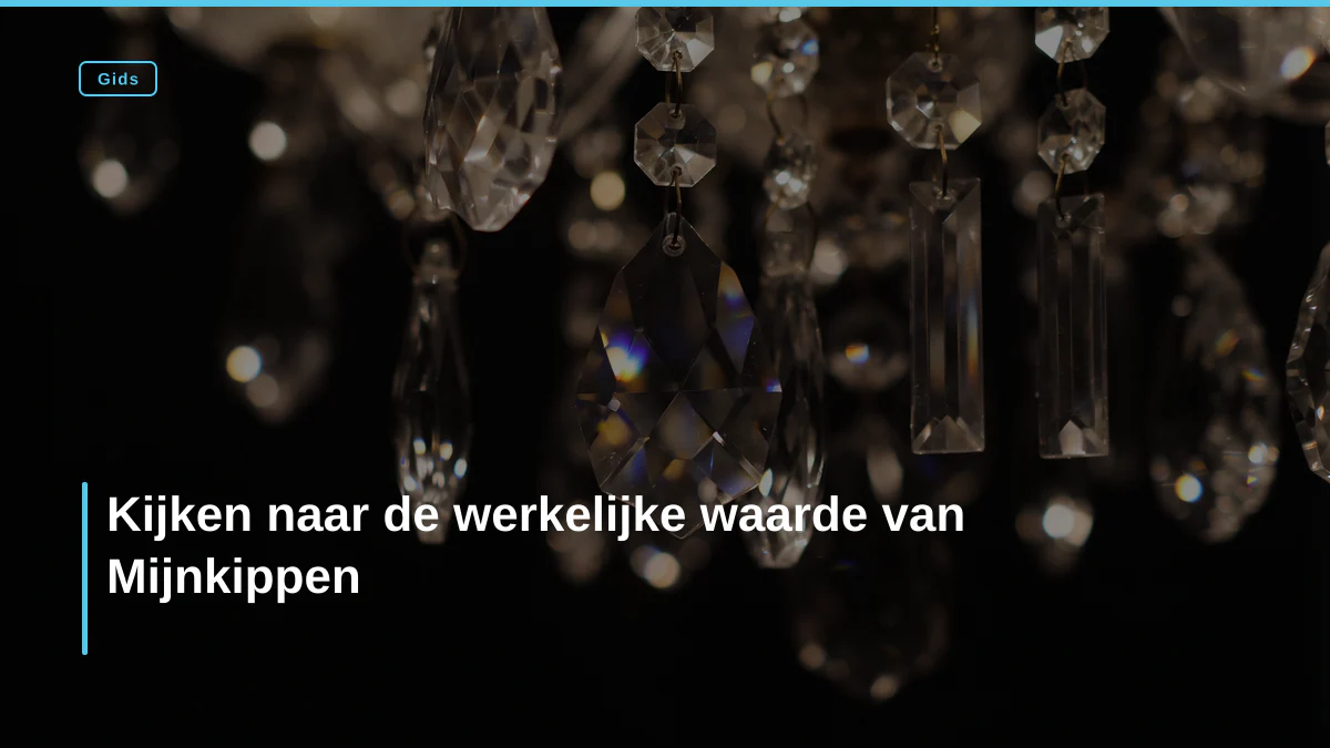 Kijken naar de werkelijke waarde van Mijnkippen